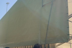 IMG_0784